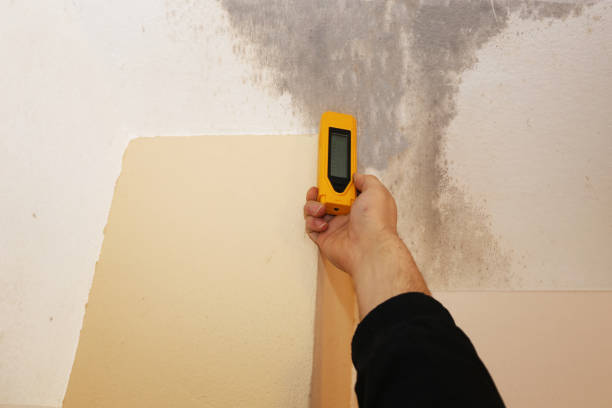 Best Post-Remediation Verification Testing  in Lake Shore, UT