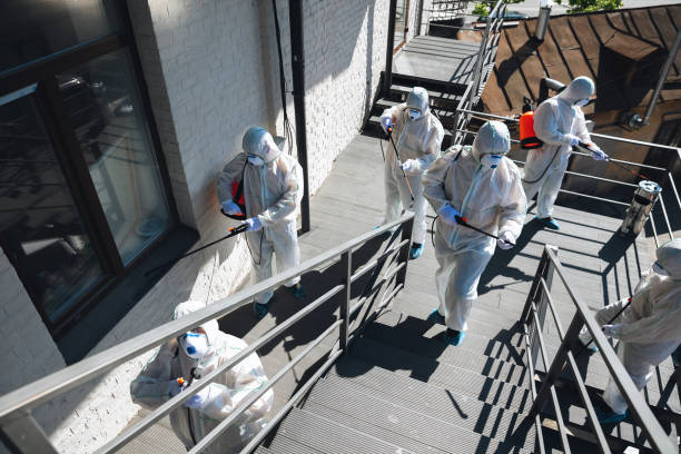 Best Mold Prevention Services  in Lake Shore, UT