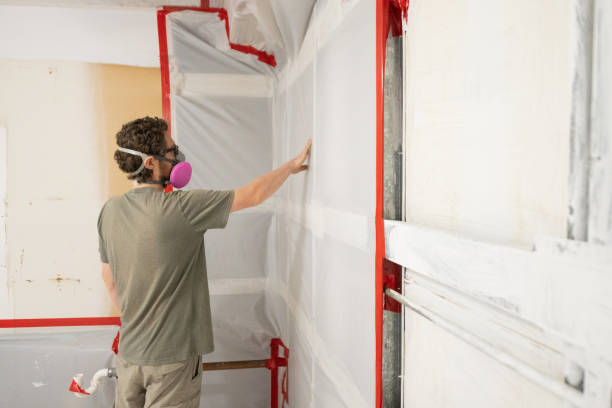 Best Black Mold Removal  in Lake Shore, UT