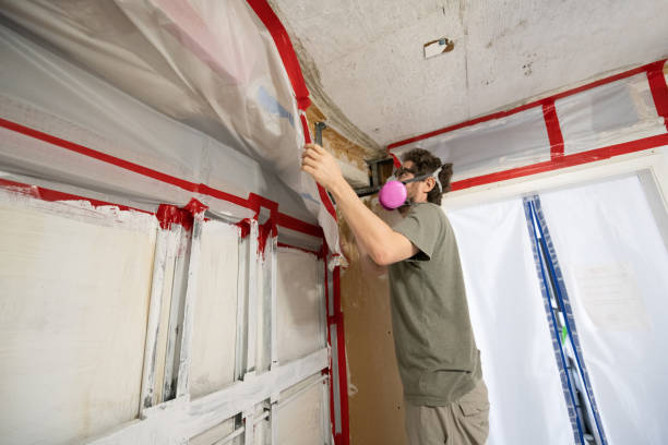 Best Industrial Mold Remediation  in Lake Shore, UT