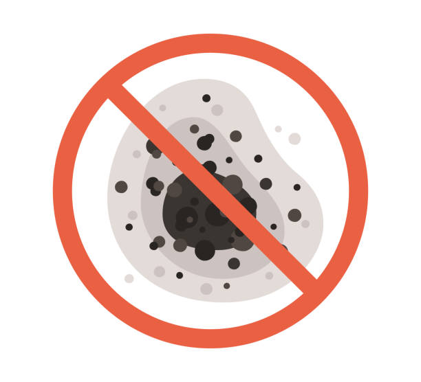 Best Air Quality Testing for Mold Spores  in Lake Shore, UT