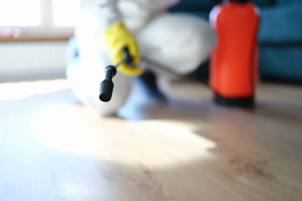 Best Mold Damage Restoration  in Lake Shore, UT