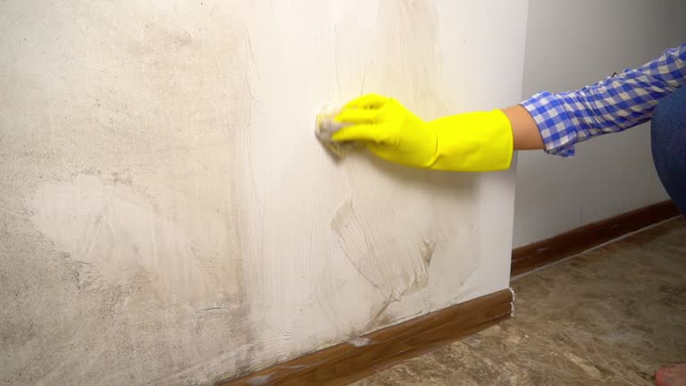 Best Real Estate Mold Inspection  in Lake Shore, UT