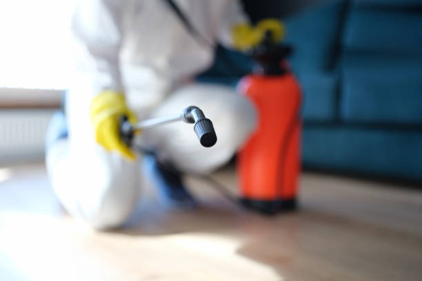  Lake Shore, UT Mold Removal Pros